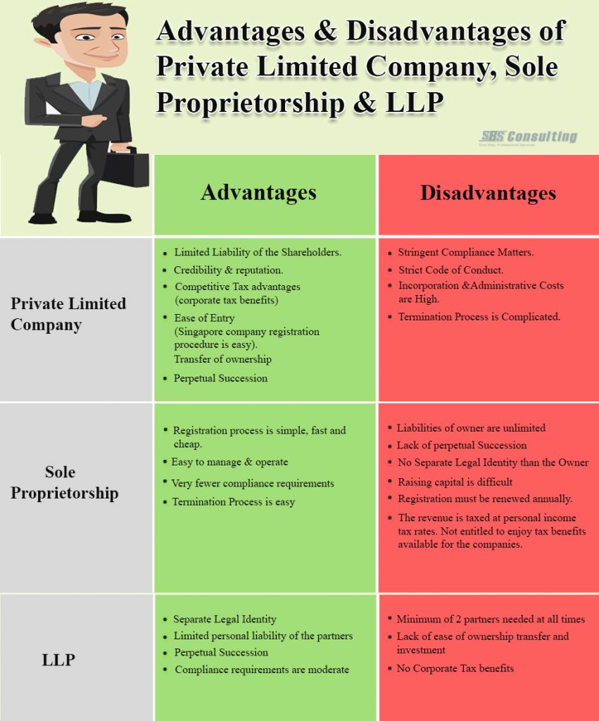 Advantages And Disadvantages Of Private And Private