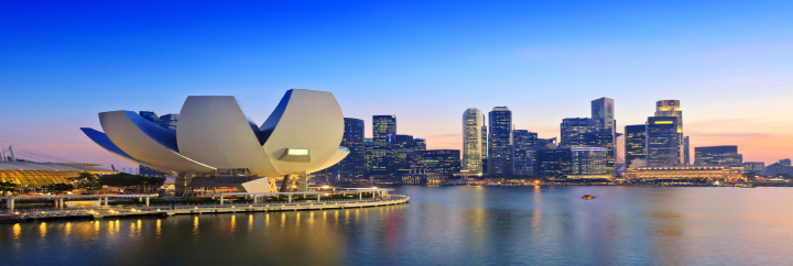 Singapore Business formation planning