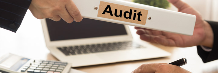 Information Technology Audit