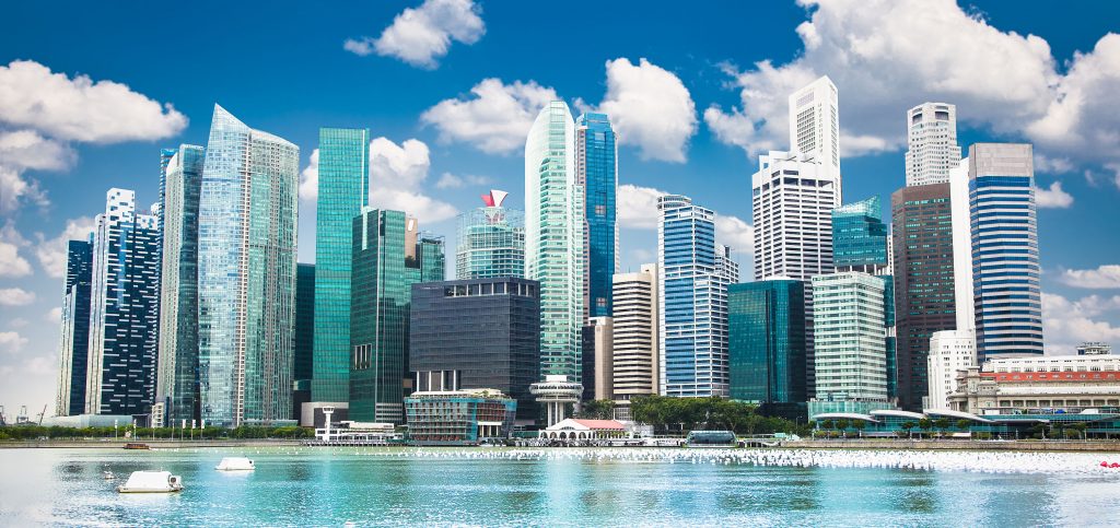Pros and Cons of a Singapore Private Limited Company