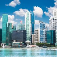 Pros and Cons of a Singapore Private Limited Company (Pte Ltd )