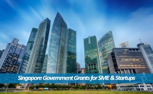 Singapore government grants for SME & Startups