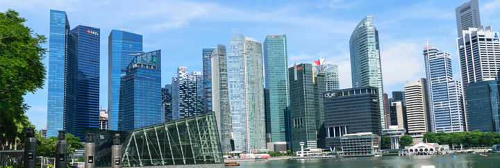 Singapore-incorporation