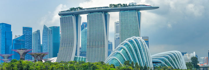 company secretary service