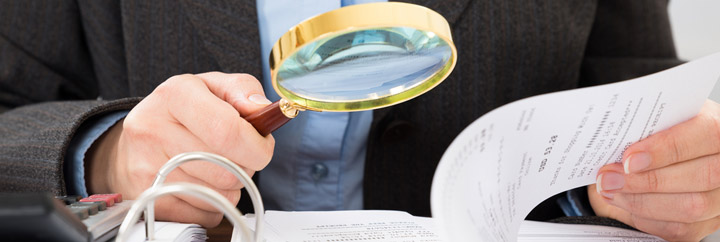 statutory audits