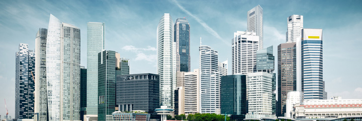 Subsidiary-Company-in-Singapore