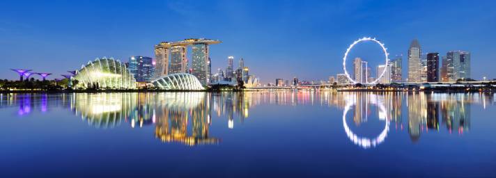 incorporating a company in Singapore