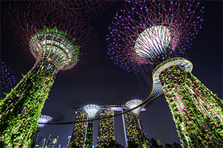 Comparison of top 3 Key Asian Countries on Ease of Doing Business