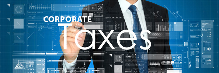trade business import export